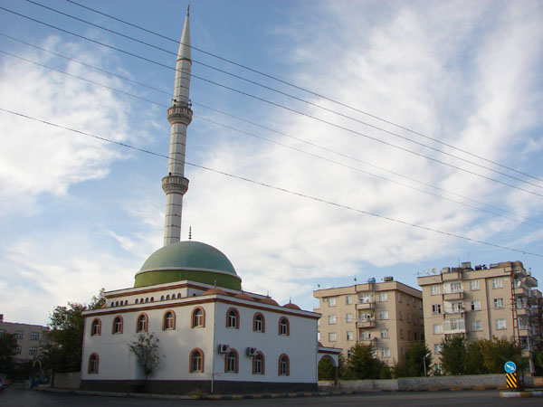 Hz. Ali camii 