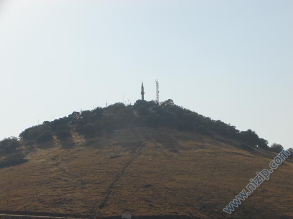 2622-DSC00458 