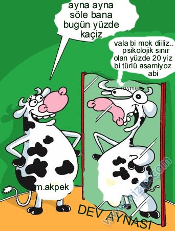 YTUO 