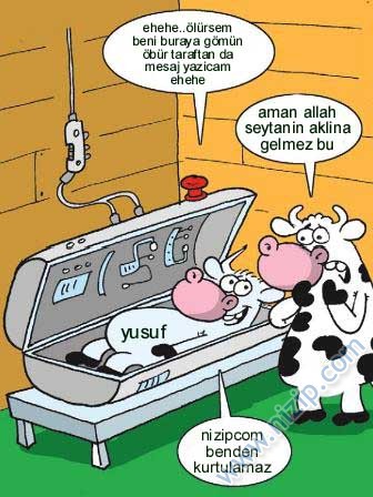 ydf 
