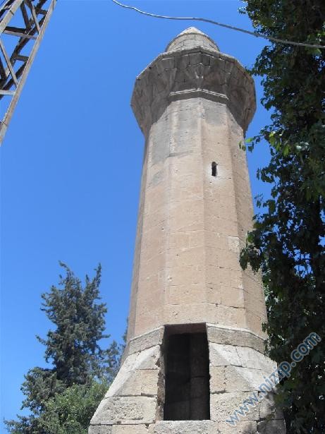 1844-camiii2 