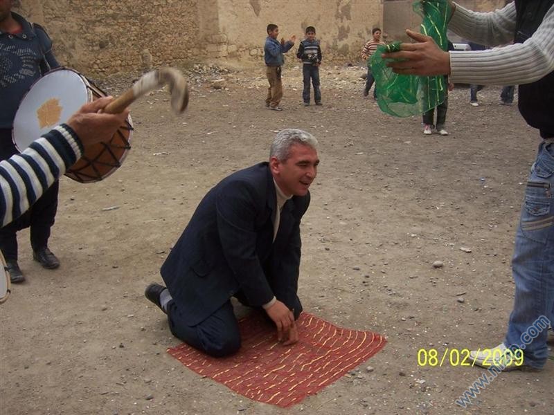 halay4 