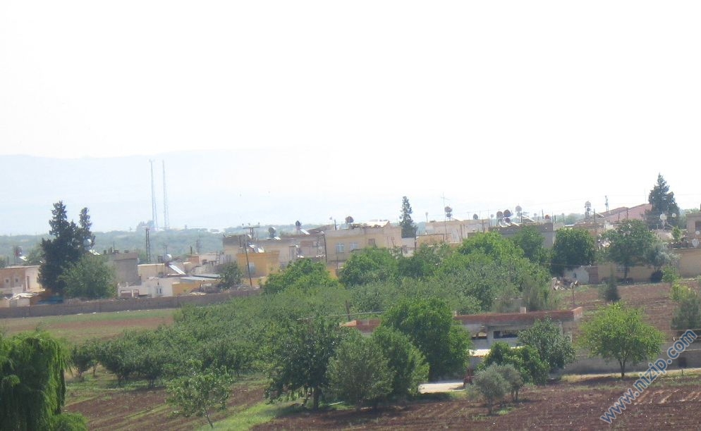 dutlu(torumahmut) 