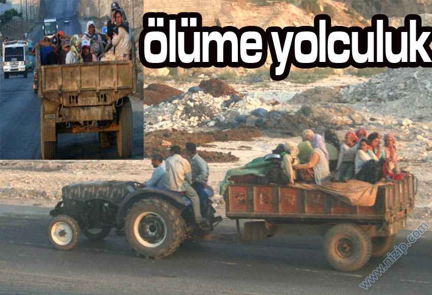 Ölüme Yolculuk 
