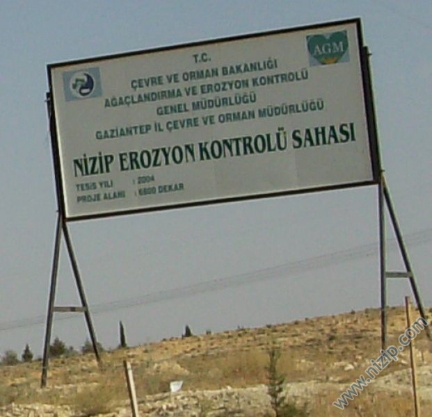 Nizip Myo-5 