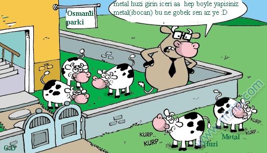 Metal  Ve Huzi 