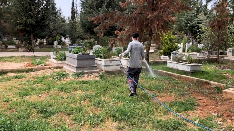 Mezarlıkta Yabani Otlar İlaçlanıyor