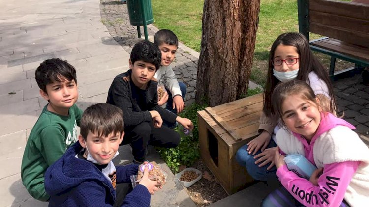 Minik öğrenciler kuşlar ve sokak hayvanları için yem ile mama dağıttı