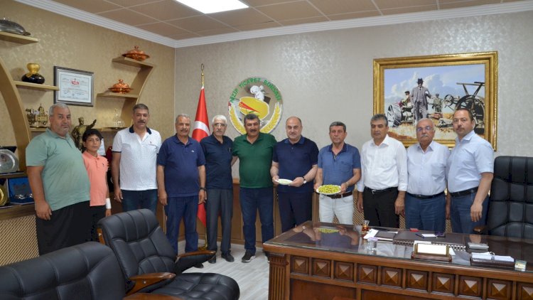 Yılın İlk Fıstığı Altınla Ödüllendirildi Yılın İlk Fıstığı Altınla Ödüllendirildi