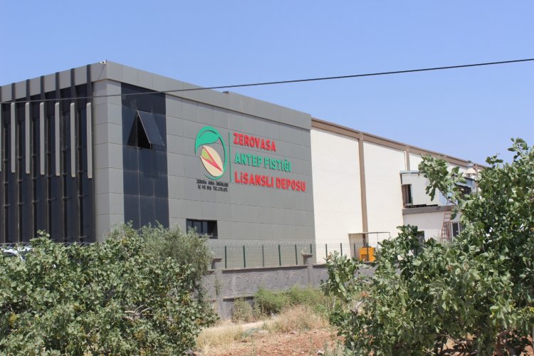 Antep Fıstığı Lisanslı Depo Ürüne Değer, Üreticiye Kazanç Sağlıyor Antep Fıstığı Lisanslı Depo Ürüne Değer, Üreticiye Kazanç Sağlıyor