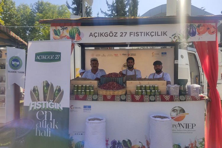 Gastroantep Festivaline Açıkgöz 27 Fıstıkçılık Damga Vurdu Gastroantep Festivaline Açıkgöz 27 Fıstıkçılık Damga Vurdu