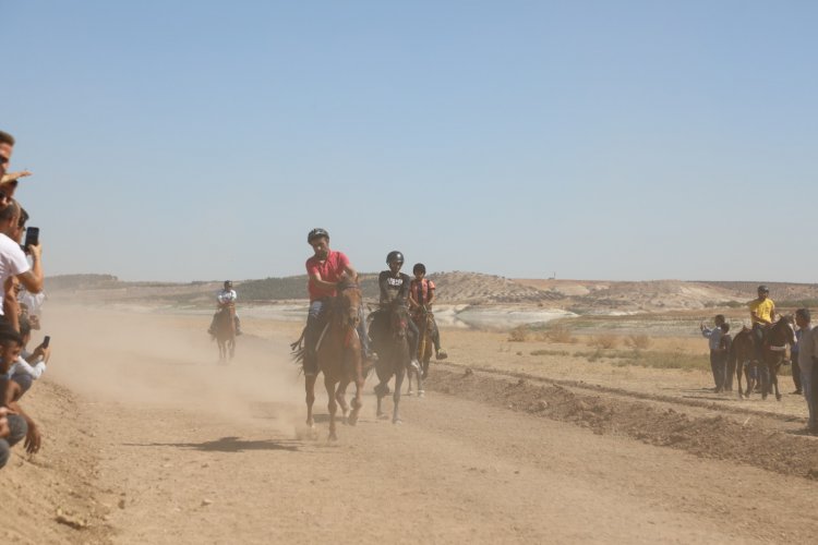 Nizip’te Rahvan At Yarışı heyecanı Nizip’te Rahvan At Yarışı heyecanı