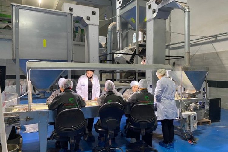 Zerovasa Group'tan bir hizmet daha