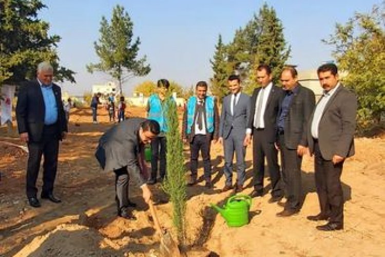 11 Kasım Milli Ağaçlandırma Günü Etkinlikleri
