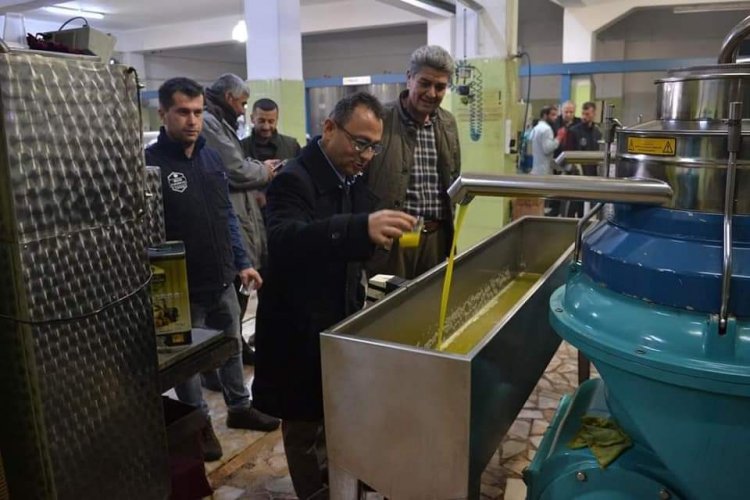 Kaymakam Çağlar Zeytinyağı Fabrikalarını Gezdi Kaymakam Çağlar Zeytinyağı Fabrikalarını Gezdi
