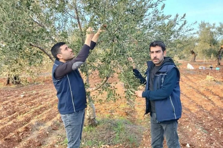 Tarım ve Orman Müdürlüğünden Çiftlere Ziyaret Tarım ve Orman Müdürlüğünden Çiftlere Ziyaret