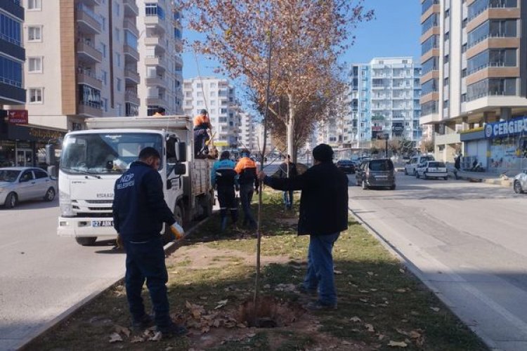 Belediye ekipleri yoğun çalışıyor
