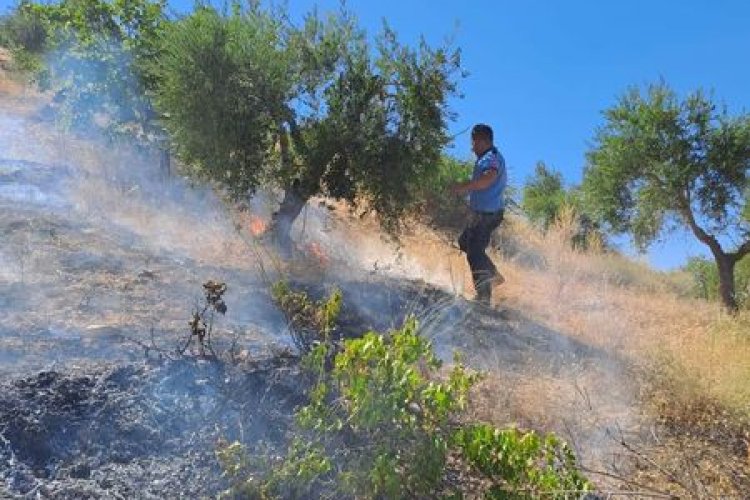 Nizip'te arazi yangını Nizip'te arazi yangını