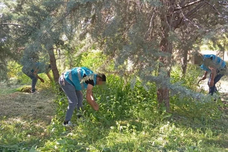 Nizip'te yükümlüler mezarları temizledi