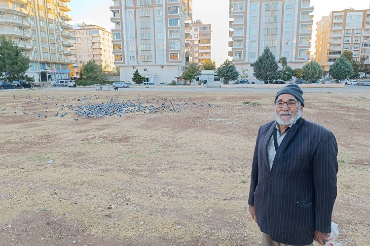 Emekli Öğretmen Bekir İnce, Kuşlara Olan Sevgisiyle Takdir Topluyor Emekli Öğretmen Bekir İnce, Kuşlara Olan Sevgisiyle Takdir Topluyor