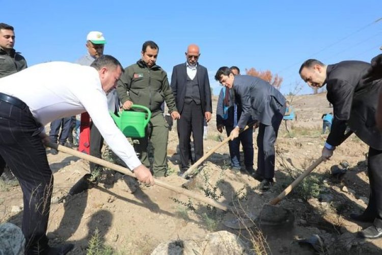 11 Kasım Milli Ağaçlandırma Günü: Nizip'te Geleceğe Nefes Oldu 11 Kasım Milli Ağaçlandırma Günü: Nizip'te Geleceğe Nefes Oldu