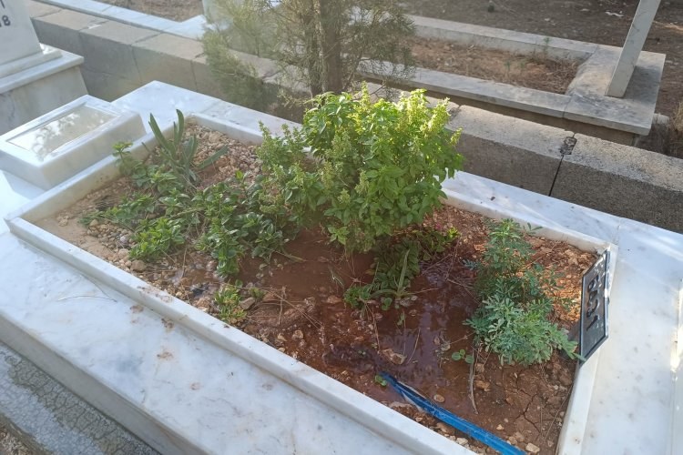 Nizip Asri Mezarlıkta Tepki Çeken Olay: Mezar Çiçekleri Çalınıyor! Nizip Asri Mezarlıkta Tepki Çeken Olay: Mezar Çiçekleri Çalınıyor!