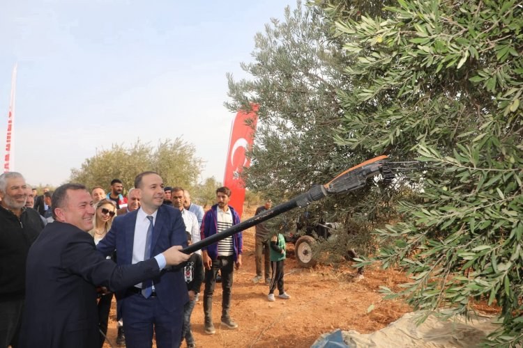 Zeytinin Başkenti Nizip’te 2. Zeytin Festivali Coşkusu Zeytinin Başkenti Nizip’te 2. Zeytin Festivali Coşkusu