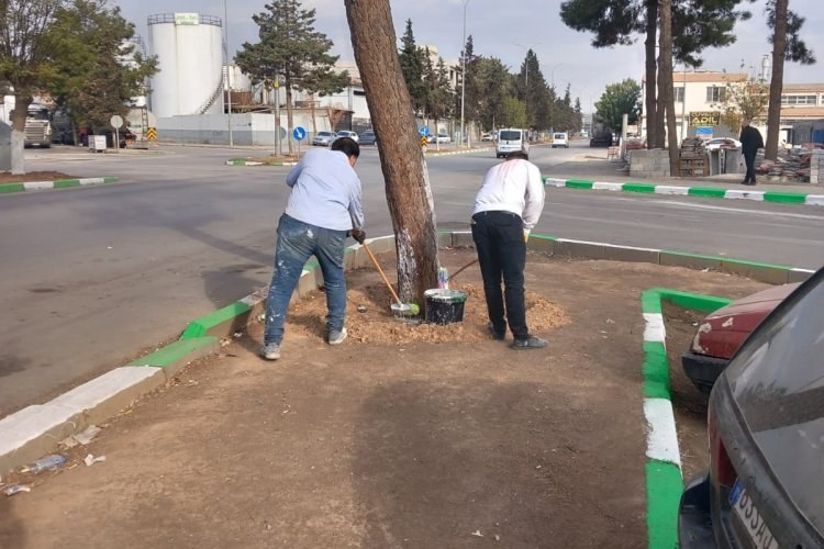 Nizip Sanayi Sitesi’nde Yeşil-Beyaz Dönüşüm: Kaldırım Refüjleri Yenileniyor