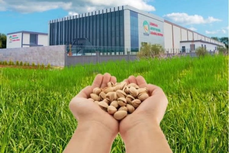 Nizip Ticaret Borsası’ndan Kamuoyuna Önemli Açıklama Nizip Ticaret Borsası’ndan Kamuoyuna Önemli Açıklama