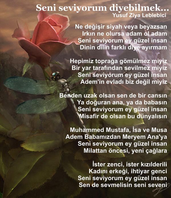 ^^Hayata Dair Notlar^^