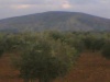 Köyüne özlem duyan gurbetçilerimize resimler