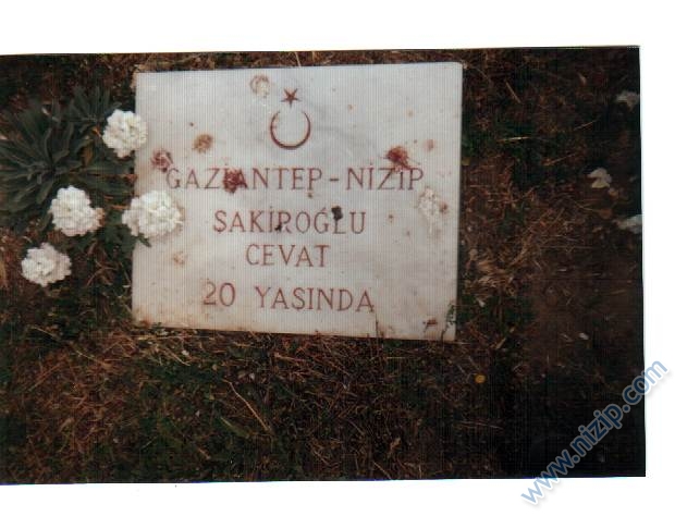 Çanakkalede Nizip Şehitleri (sizce ne kadar)