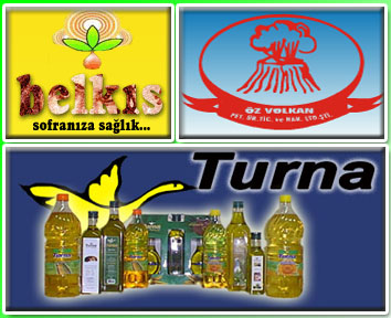 Nizipli Firmalar İlk 100'de