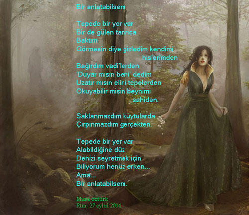 ŞİİR SEVER NİZİPLİLER BURAYA...