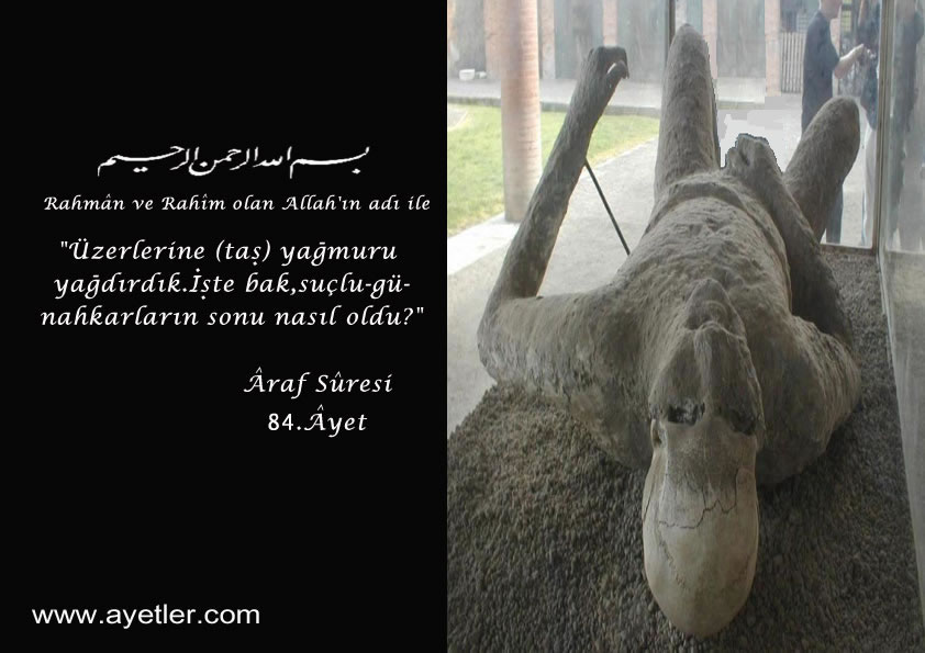 SİZİ EN ÇOK ETKİLEYEN AYET-İ KERİME