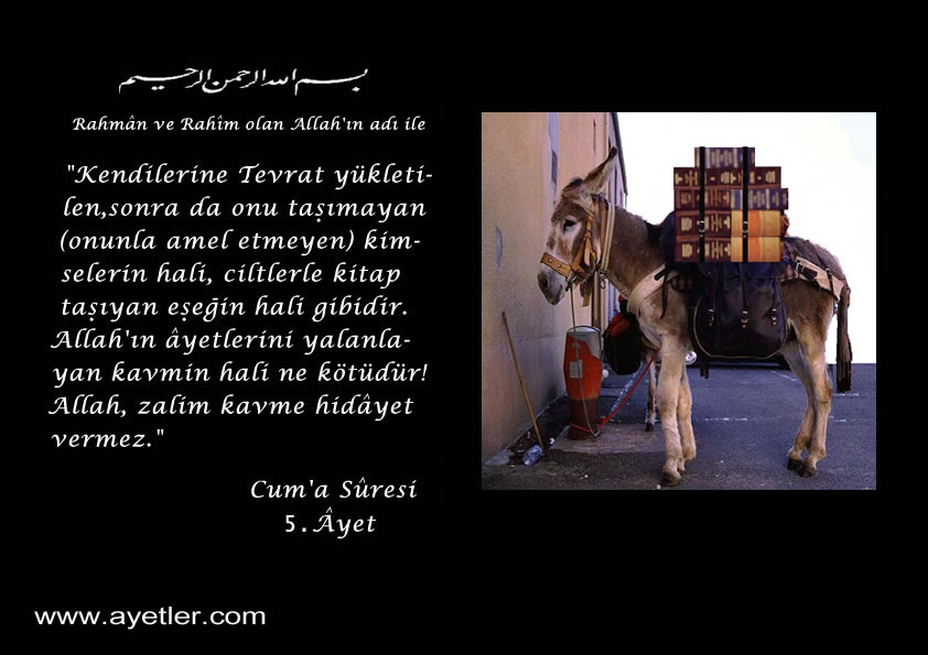 SİZİ EN ÇOK ETKİLEYEN AYET-İ KERİME