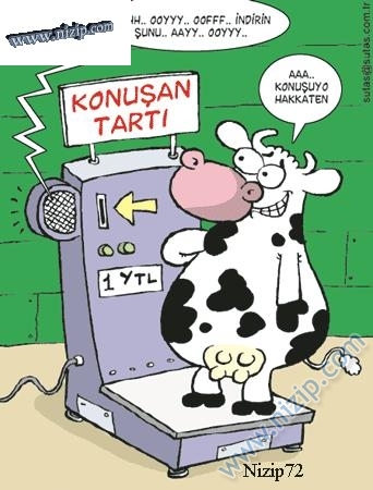 Sütaş karikatürleri Nizip.com'da Olursa.