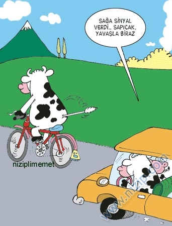 Sütaş karikatürleri Nizip.com'da Olursa.