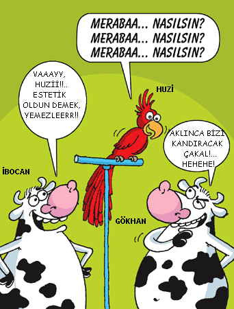 Sütaş karikatürleri Nizip.com'da Olursa.