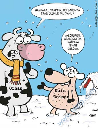 Sütaş karikatürleri Nizip.com'da Olursa.
