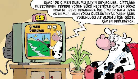 Sütaş karikatürleri Nizip.com'da Olursa.