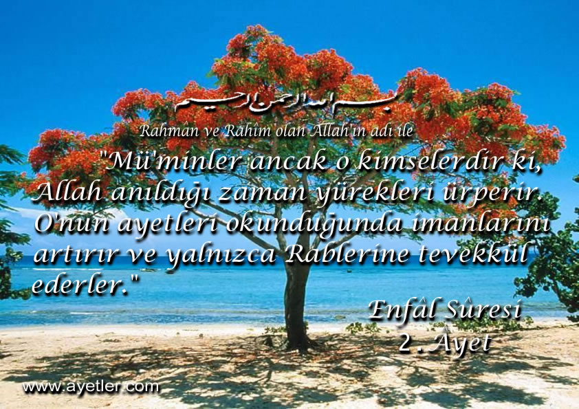 SİZİ EN ÇOK ETKİLEYEN AYET-İ KERİME