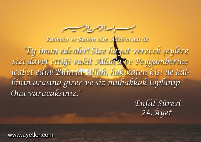 SİZİ EN ÇOK ETKİLEYEN AYET-İ KERİME