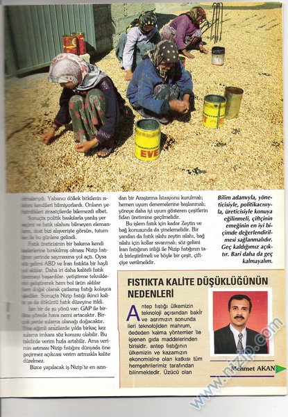 Karpuzatan Dergisi 1995