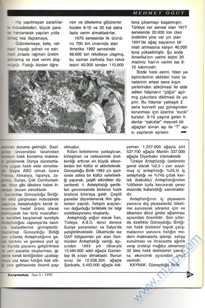 Karpuzatan Dergisi 1995