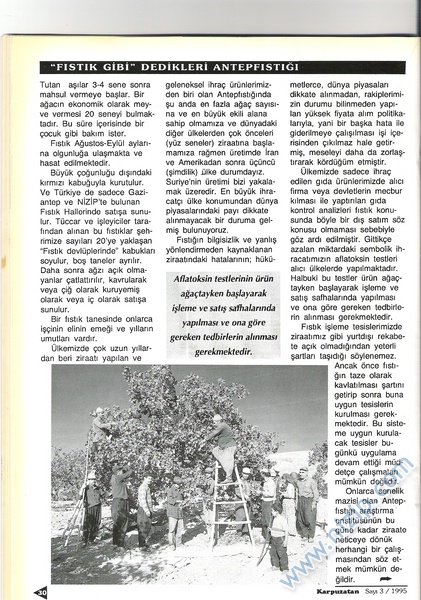 Karpuzatan Dergisi 1995