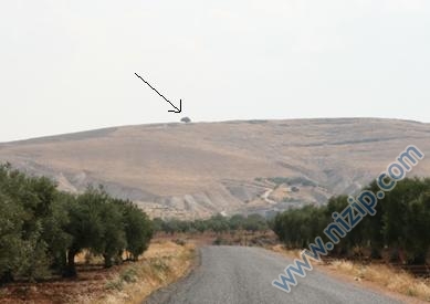 Bu da Bizim Yalnız Ağacımız (Yağmur Ağaç) Bu da Bizim Yalnız Ağacımız (Yağmur Ağaç)
