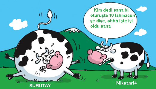 Sütaş karikatürleri Nizip.com'da Olursa.