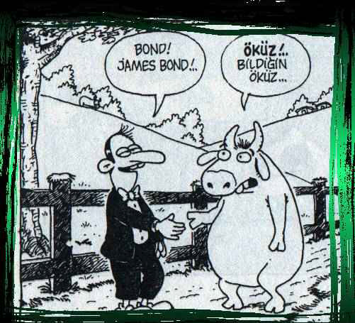 ADINIZ NEDİR HANFENDİ