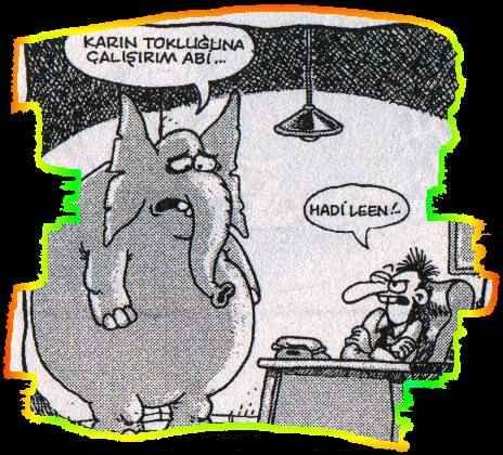 ADINIZ NEDİR HANFENDİ
